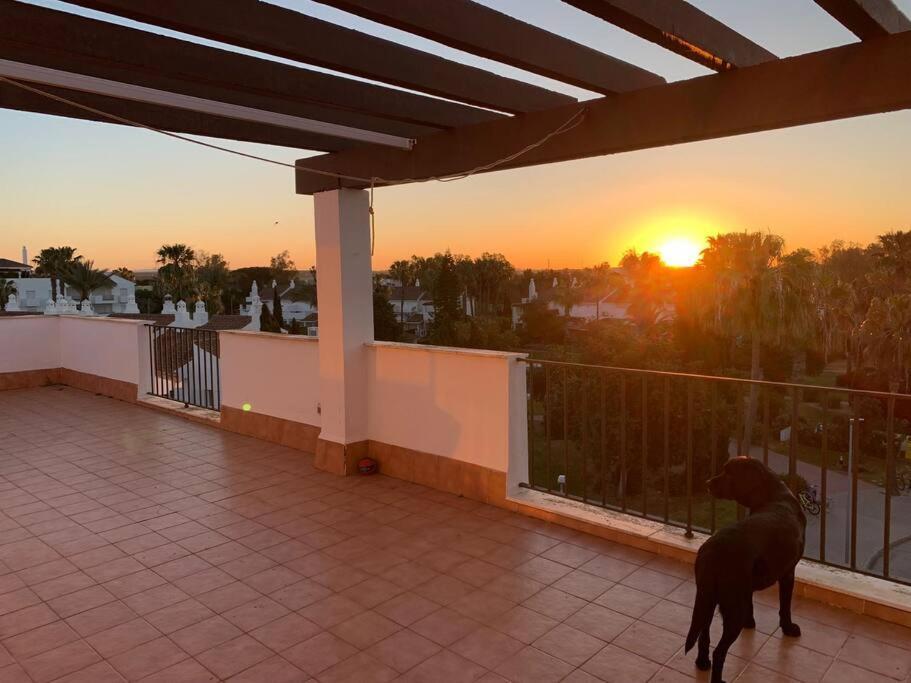 Atico Costa Ballena - Cadiz Rota Exteriör bild